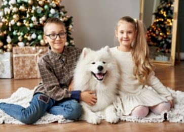 Samoyed Cinsi Köpek Özellikleri ve Bakımı