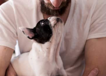 Köpeğiniz Kıskanıyorsa Ne Yapmalısınız?