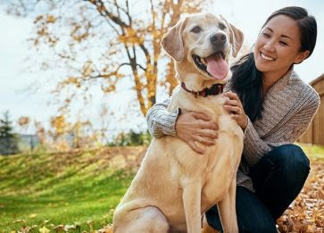 Köpeğinizin Yaşını Nasıl Hesaplarsınız?