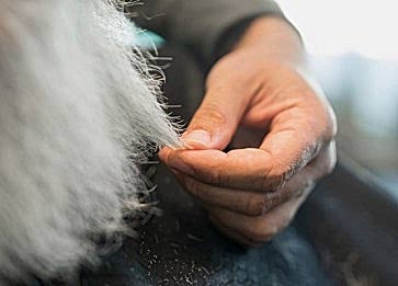 Köpeklerde Tüy Dökme Önleyici Öneriler