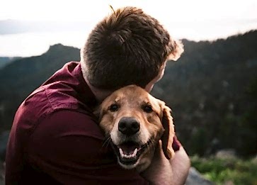 Köpeklerin Yaşı Nasıl Hesaplanır? Köpeğinizin Kaç Yaşında Olduğunu Hesaplayın.