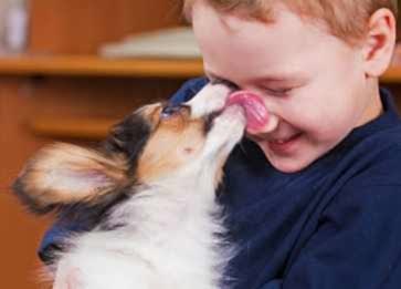 Sevgi Gösterisi: Köpekler Sahibini Neden Yalar?