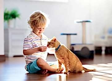 Evde Kedi Beslemenin Çocuklara Faydaları Nelerdir?