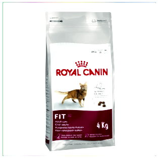 Royal Canin Fit 32 Yetişkin Kedi Maması 4 Kg